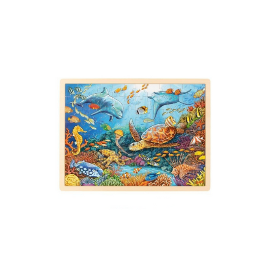 Great Barrier Reef puzzle