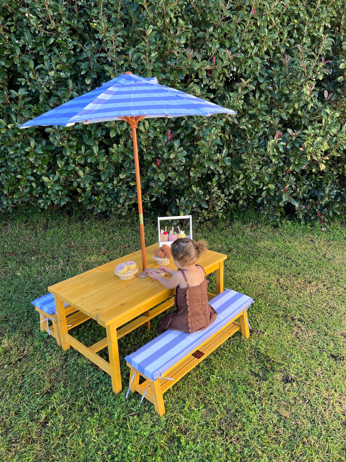 Picnic Bench Set