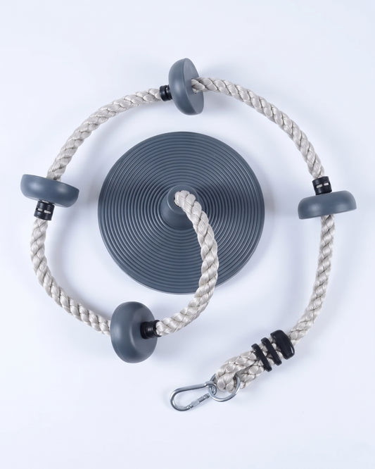 Disc Swing