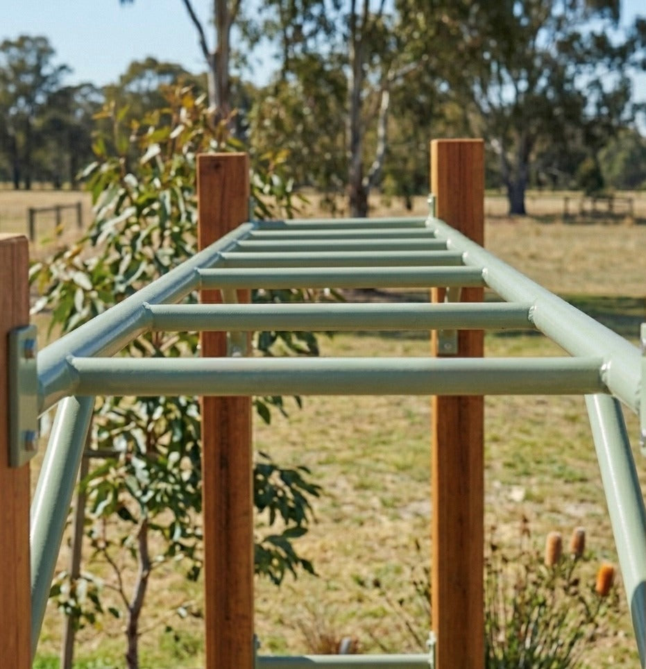 Outdoor monkey bars in sage green in a natural setting