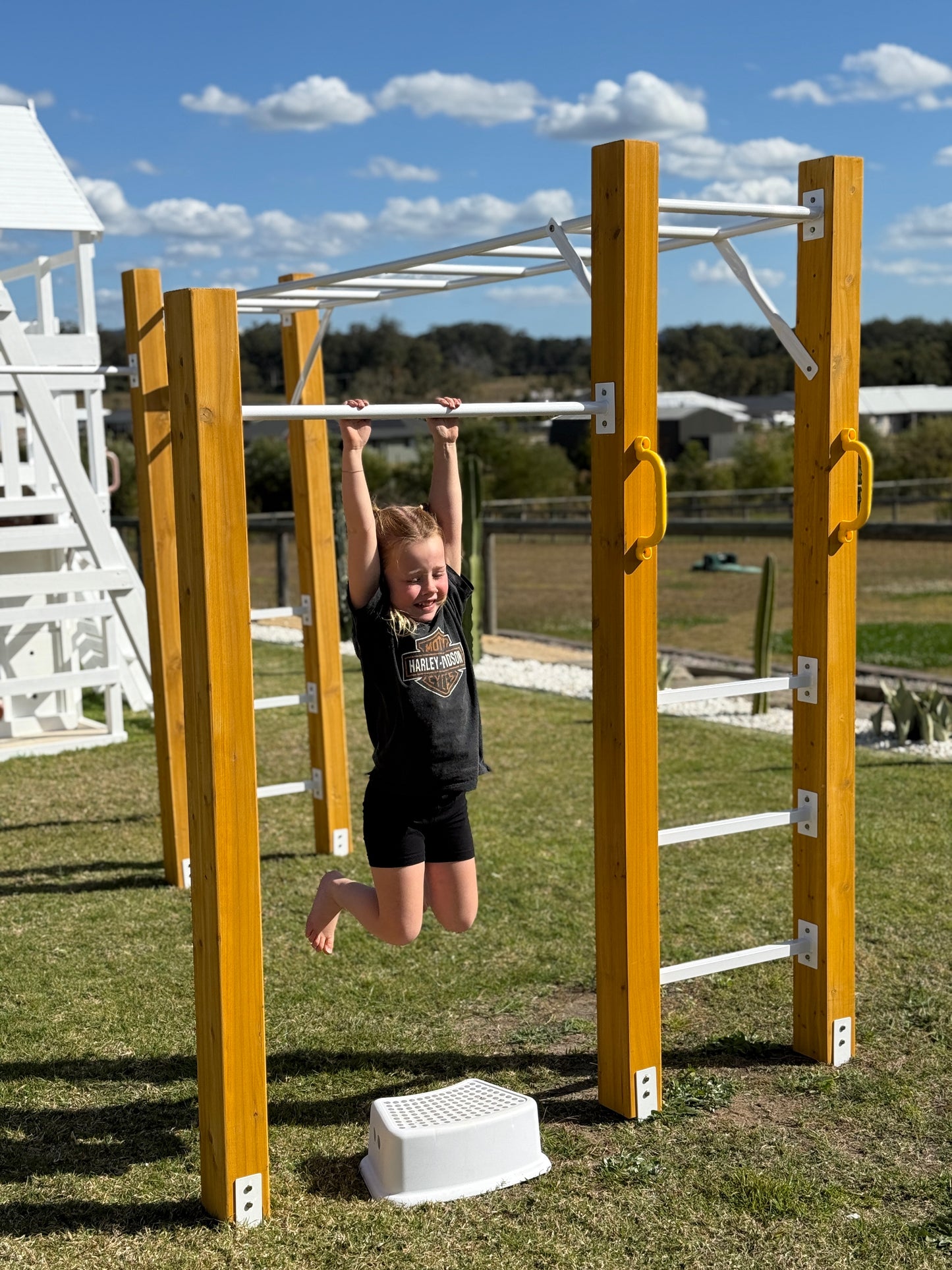 Monkey Bars