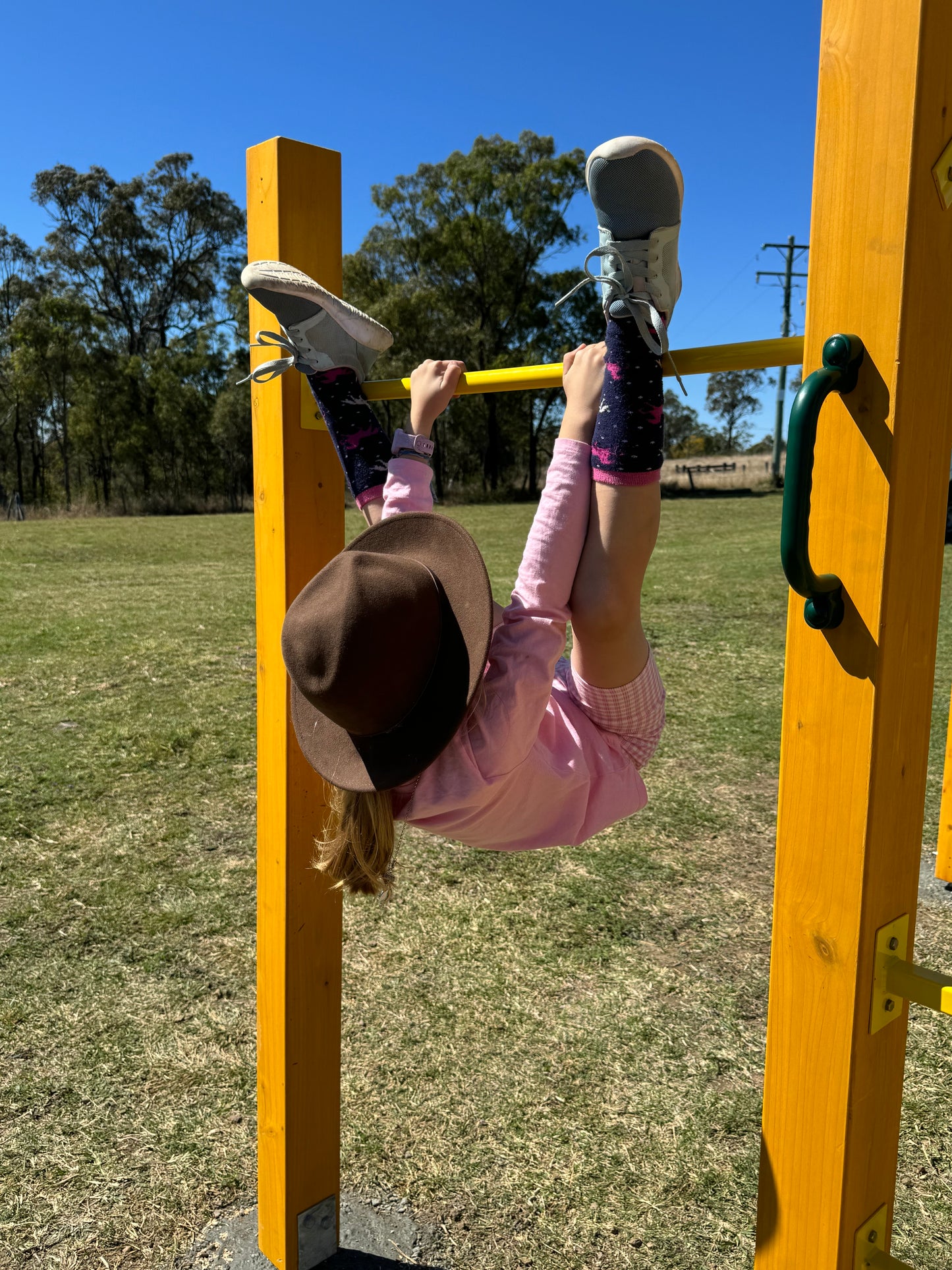 Monkey Bars