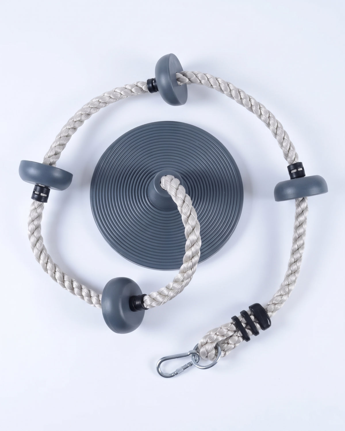 Disc Swing