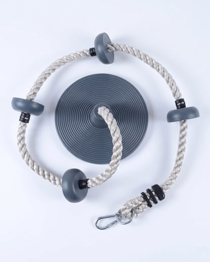 Disc Swing