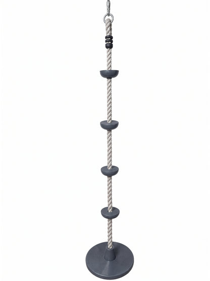 Disc Swing