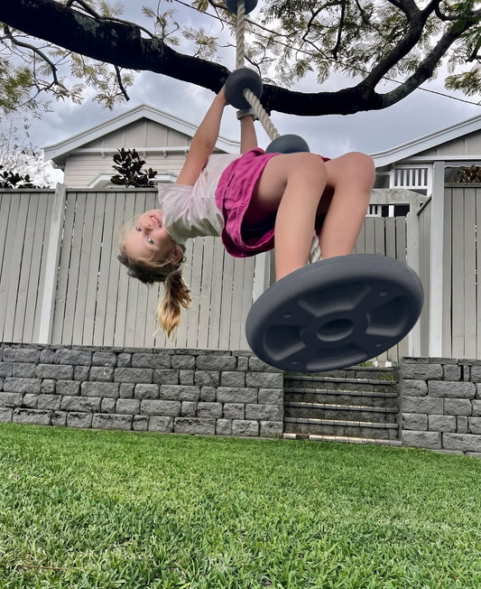 Disc Swing
