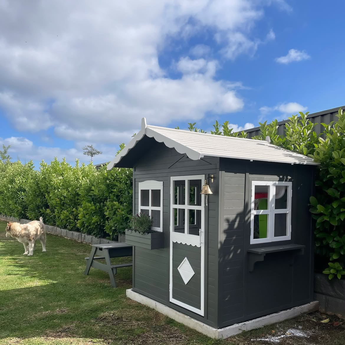 A dark gray wooden garden shed with white trim, featuring a scalloped roof, a front door with a diamond-shaped window, and two side windows. It is situated on a grassy lawn with a wooden bench and green bushes under a blue sky with clouds.