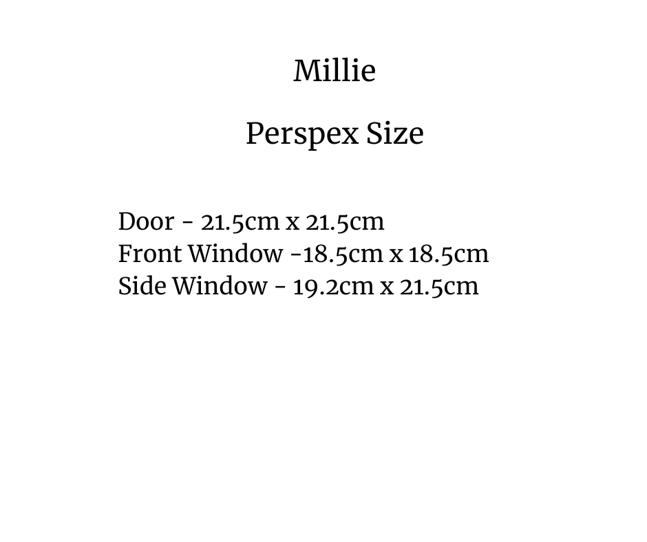 Perspex Replacement Packs - Hide & Seek Kids - spare_perspex_millie